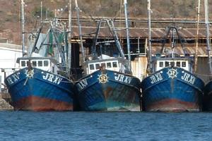 Fishing Boats